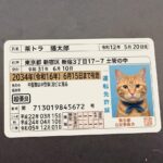 タイムズカーで免許証情報流出!利用したことがある人はパスワードなどを気をつけて