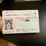「実印、委任状、車庫証明…」車の登録はなぜこんなに面倒?マイナカードで2028年から激変する可能性